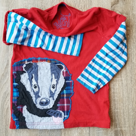 2015 vguc Mini Boden 4-5 years badger long-sleeve tee VIBRANT! - Picture 5 of 5
